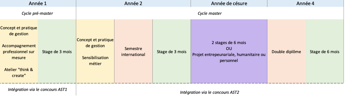 Programme grande école TBS