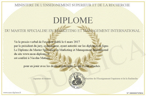 diplome master spécialisé